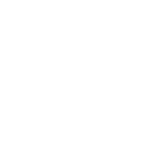 darit_sevi_logo_balts